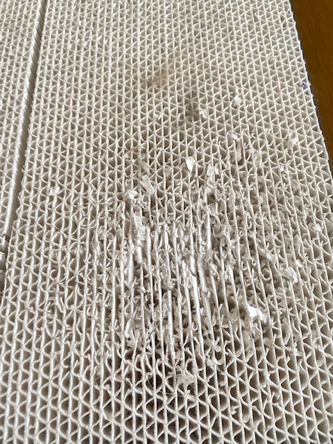 高品質で長持ちする100均の白い猫用爪とぎ（税込550円）